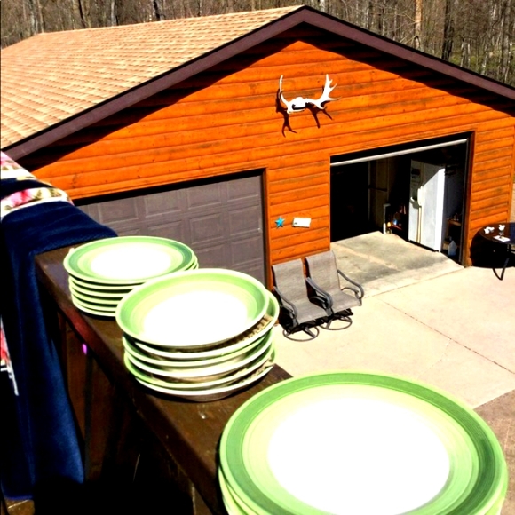 👋 Hand Painted Vintage Fern Imperial StoneWare DINNERWARE EVC - Picture 5 of 13